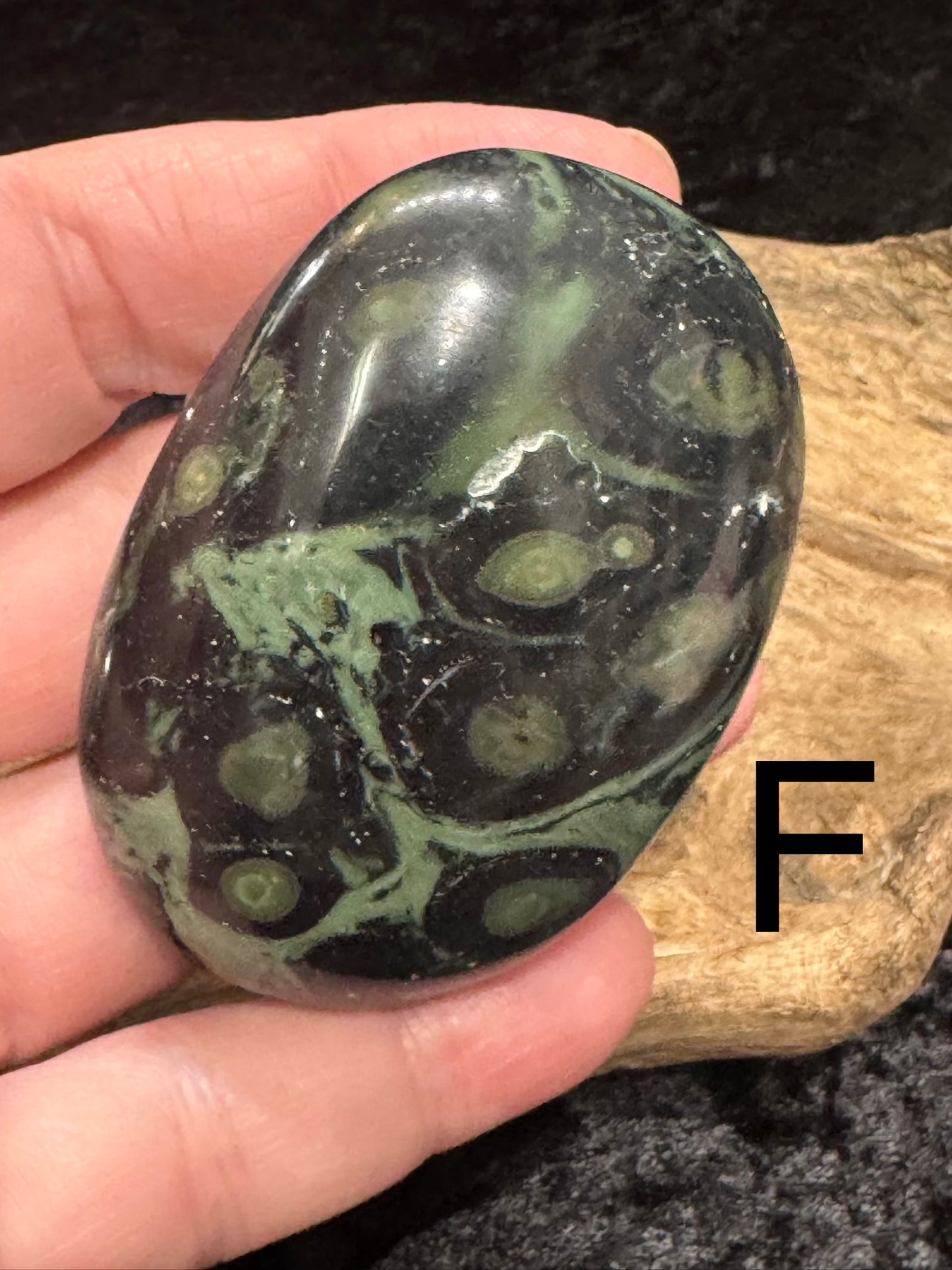 Kambaba Jasper (Stromatolite) Palm Stone