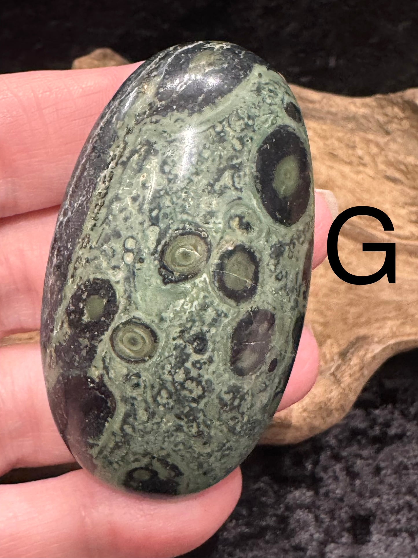 Kambaba Jasper (Stromatolite) Palm Stone