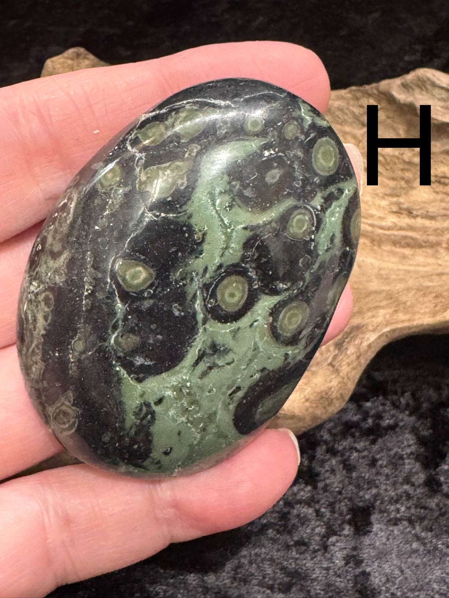 Kambaba Jasper (Stromatolite) Palm Stone