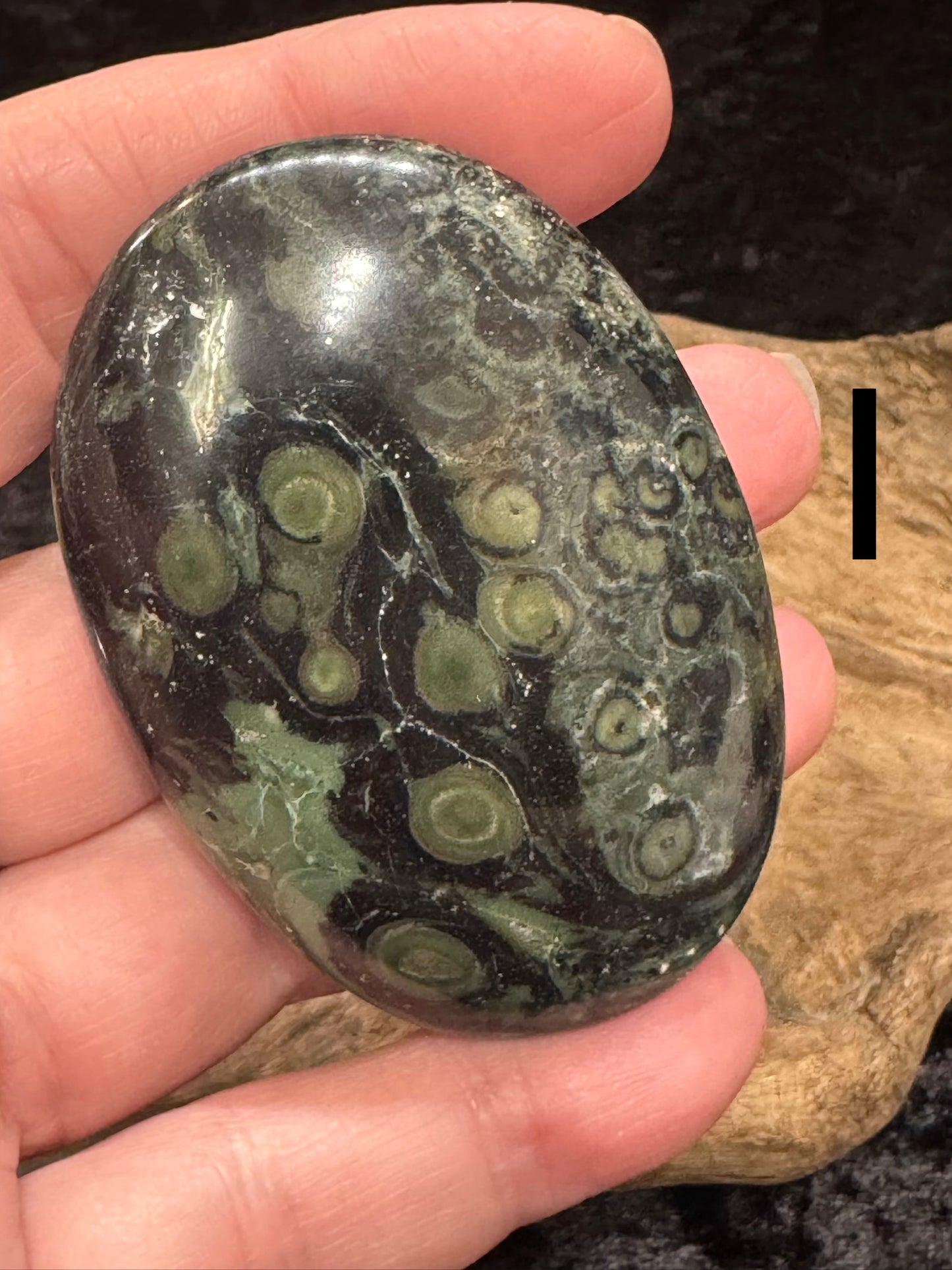 Kambaba Jasper (Stromatolite) Palm Stone