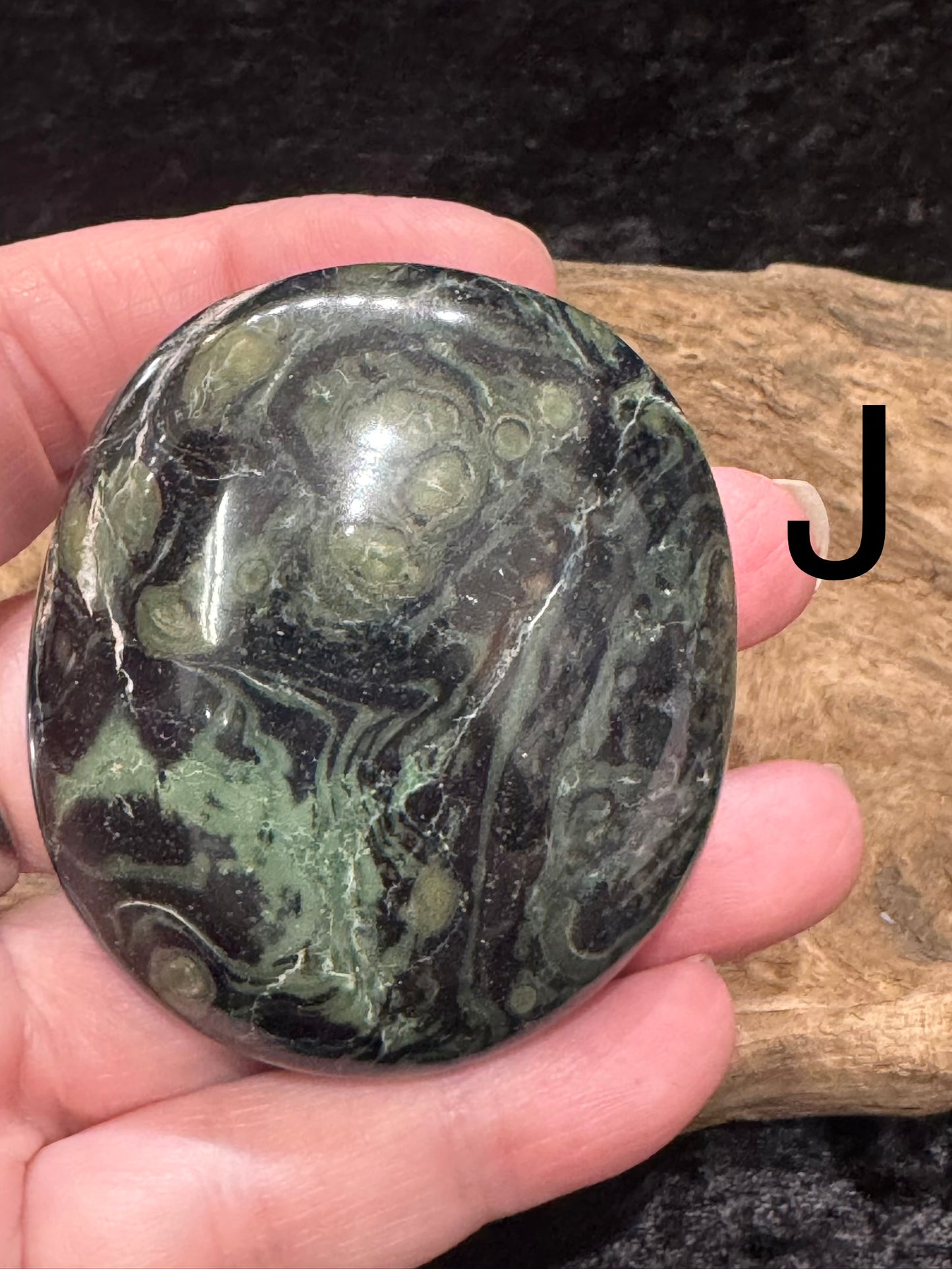 Kambaba Jasper (Stromatolite) Palm Stone