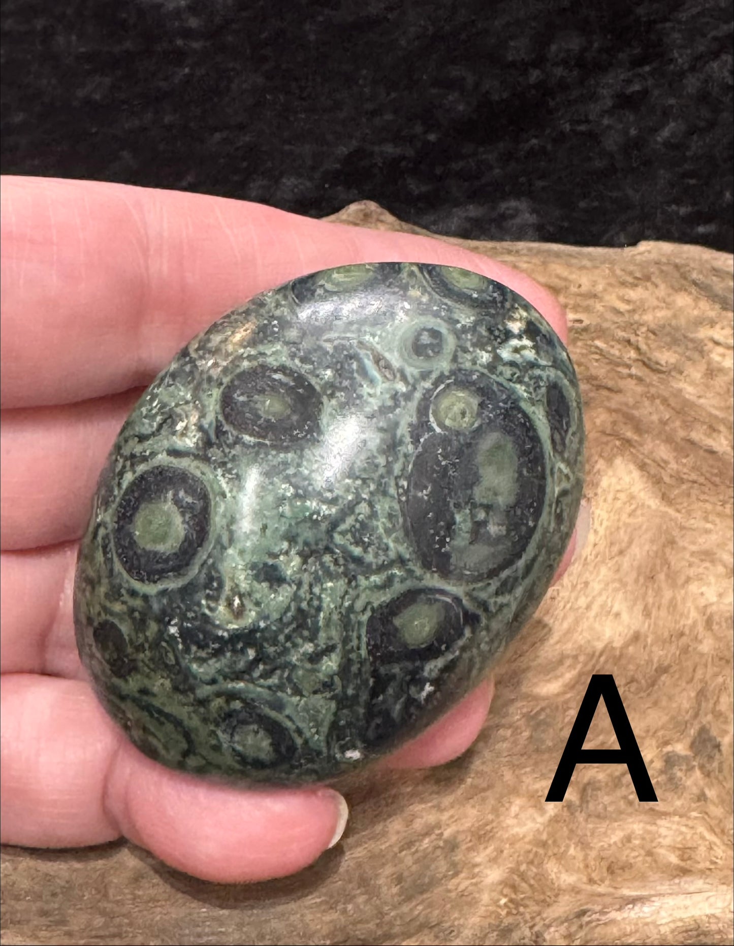 Kambaba Jasper (Stromatolite) Palm Stone
