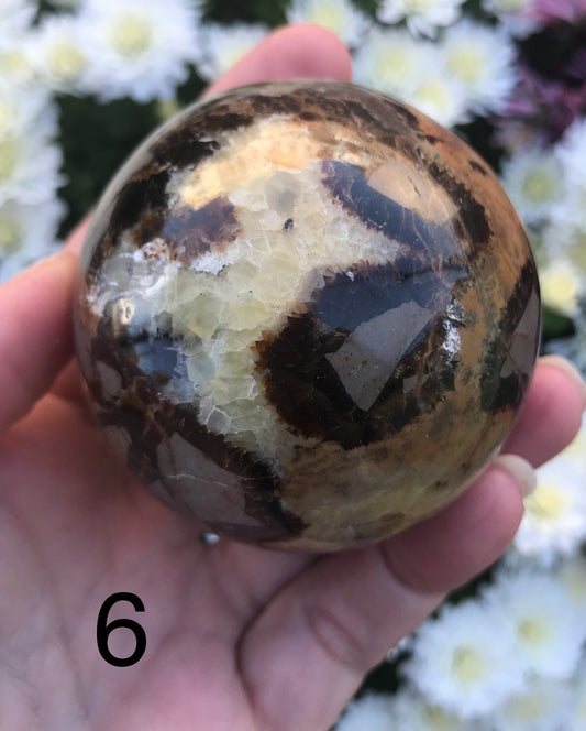 Septarian Sphere