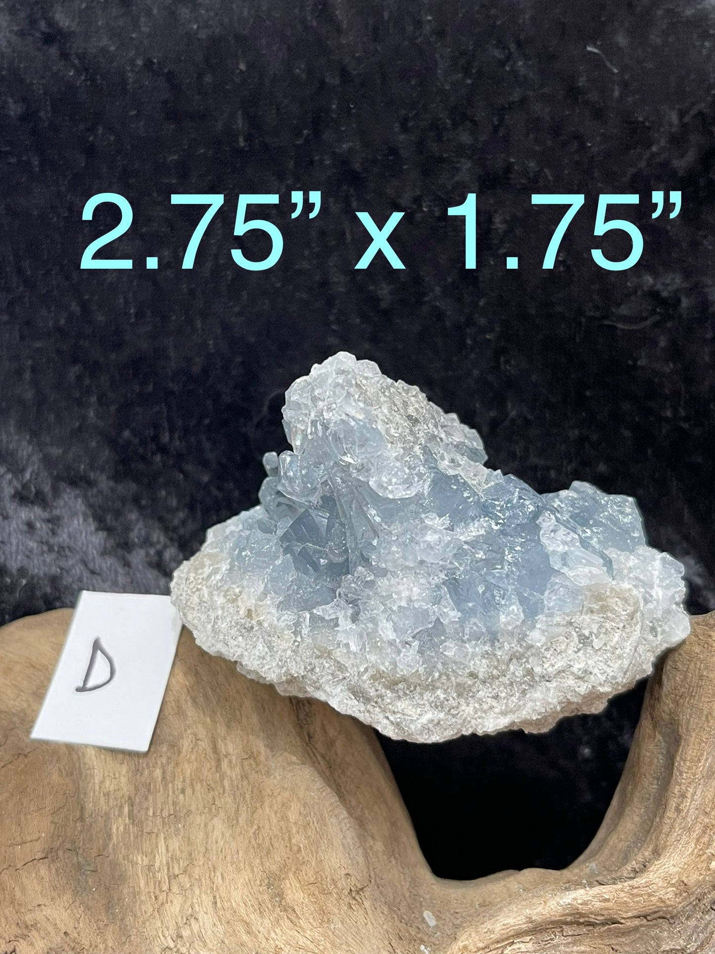 Celestite clusters