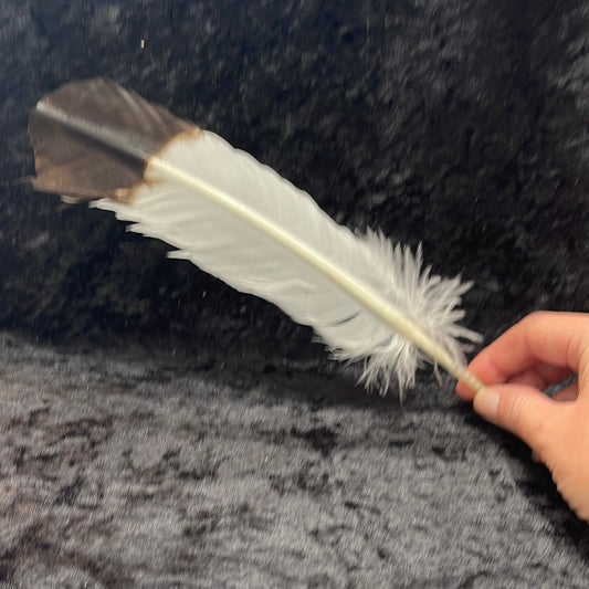 Smudge feather