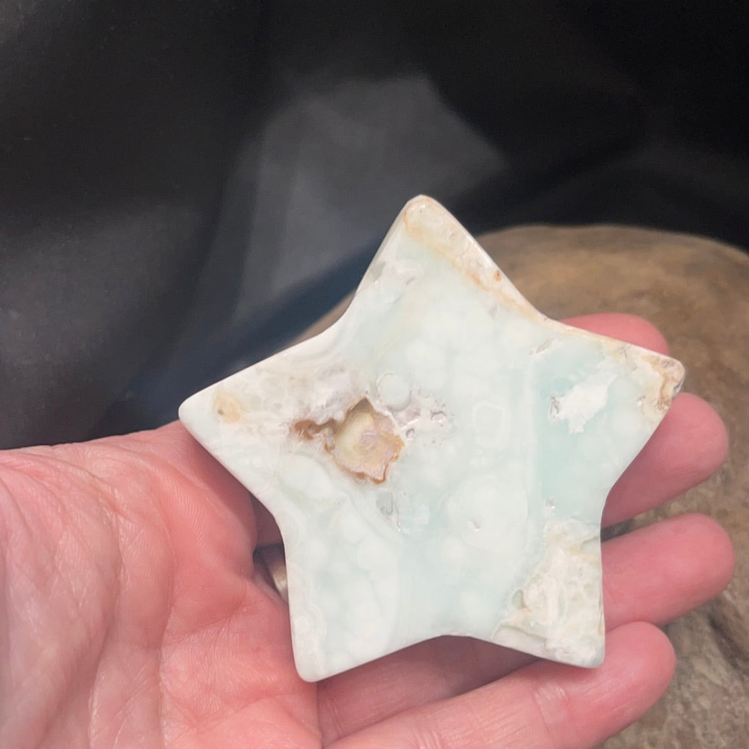 Caribbean calcite star