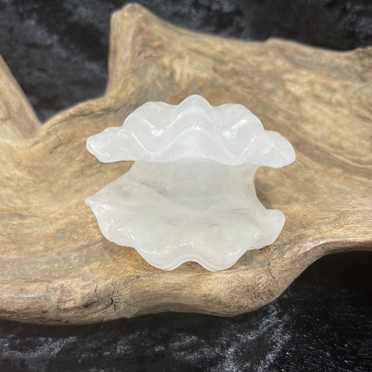 Quartz Clam