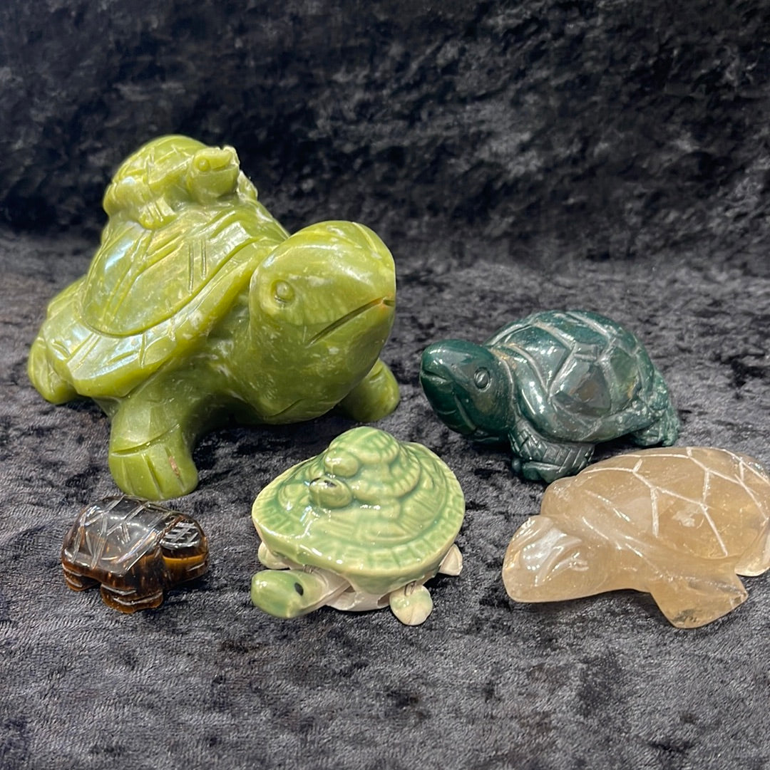 Turtles