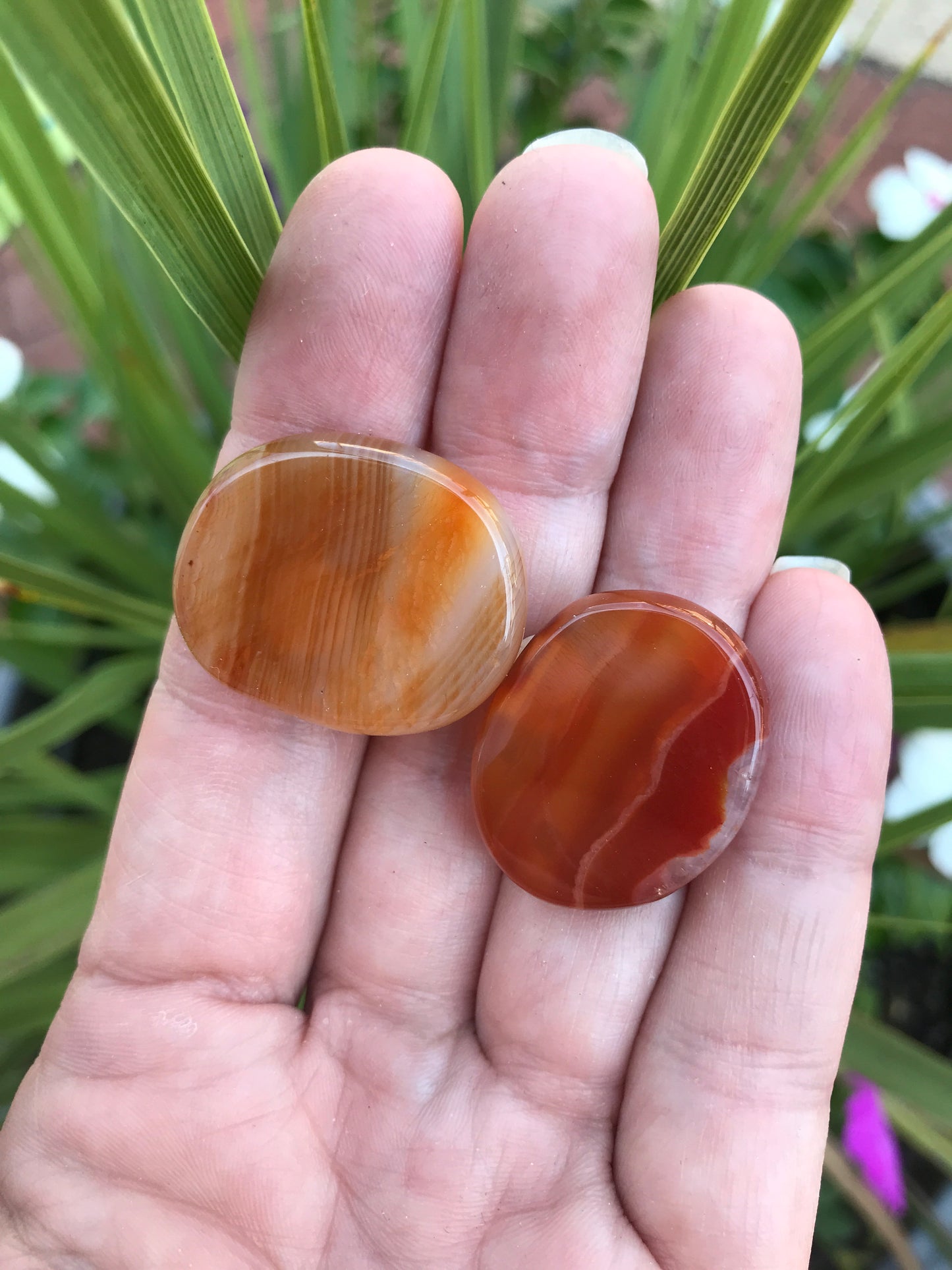 Carnelian Red Sardonyx mini disk