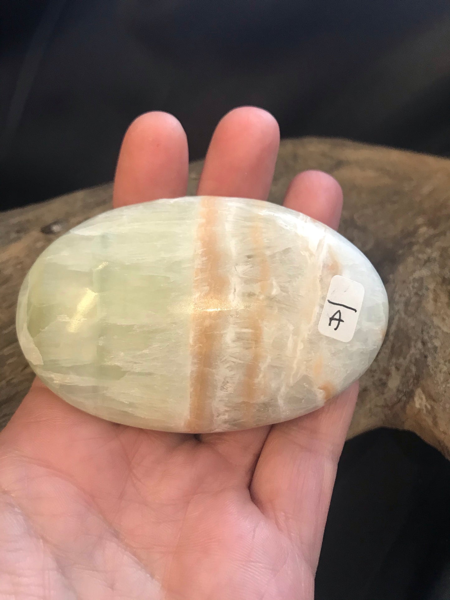 Caribbean Calcite Palm stone