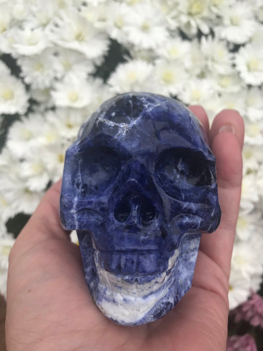 Sodalite skull