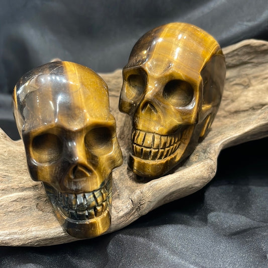 Tigers eye skull