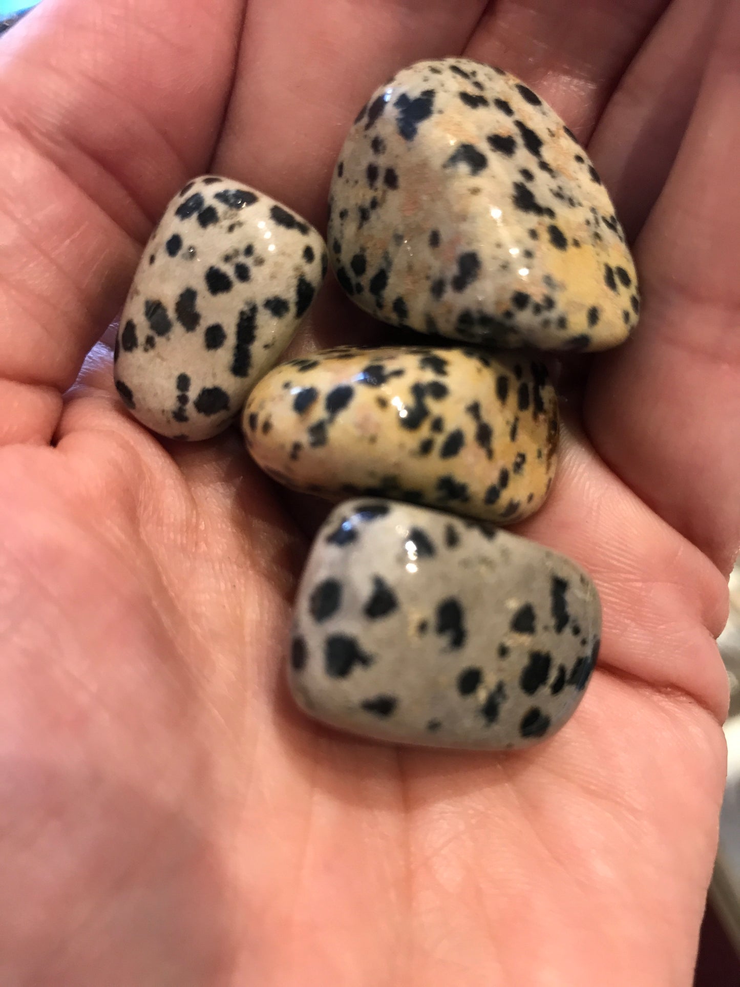 Tumbled Dalmatian Stone