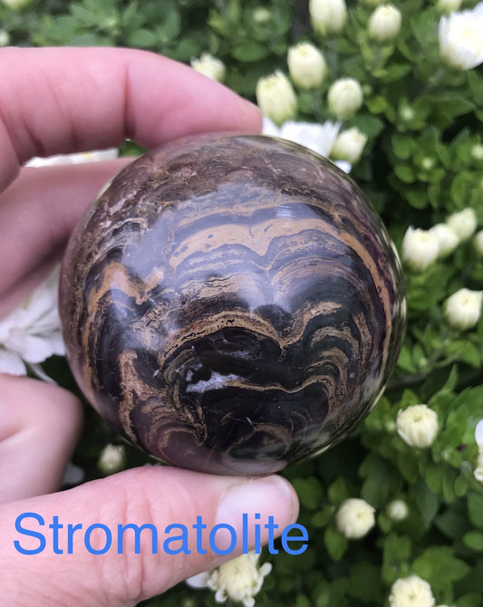 Stromatolite sphere