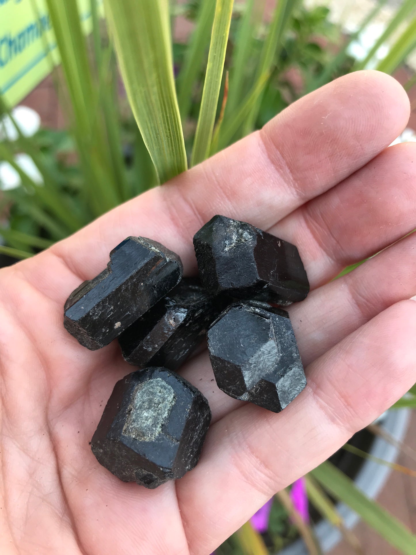 Black tourmaline points