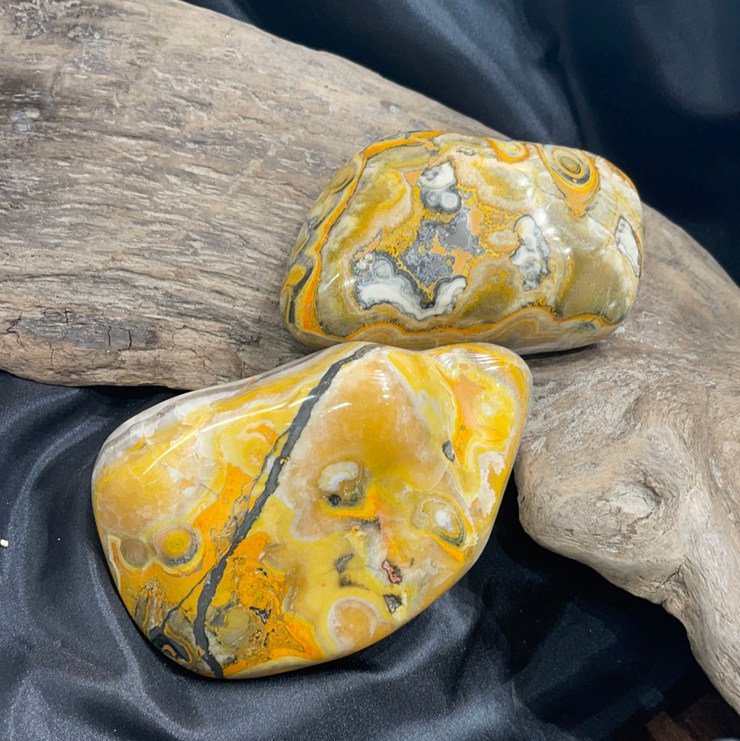 Bumblebee Jasper polished shapes