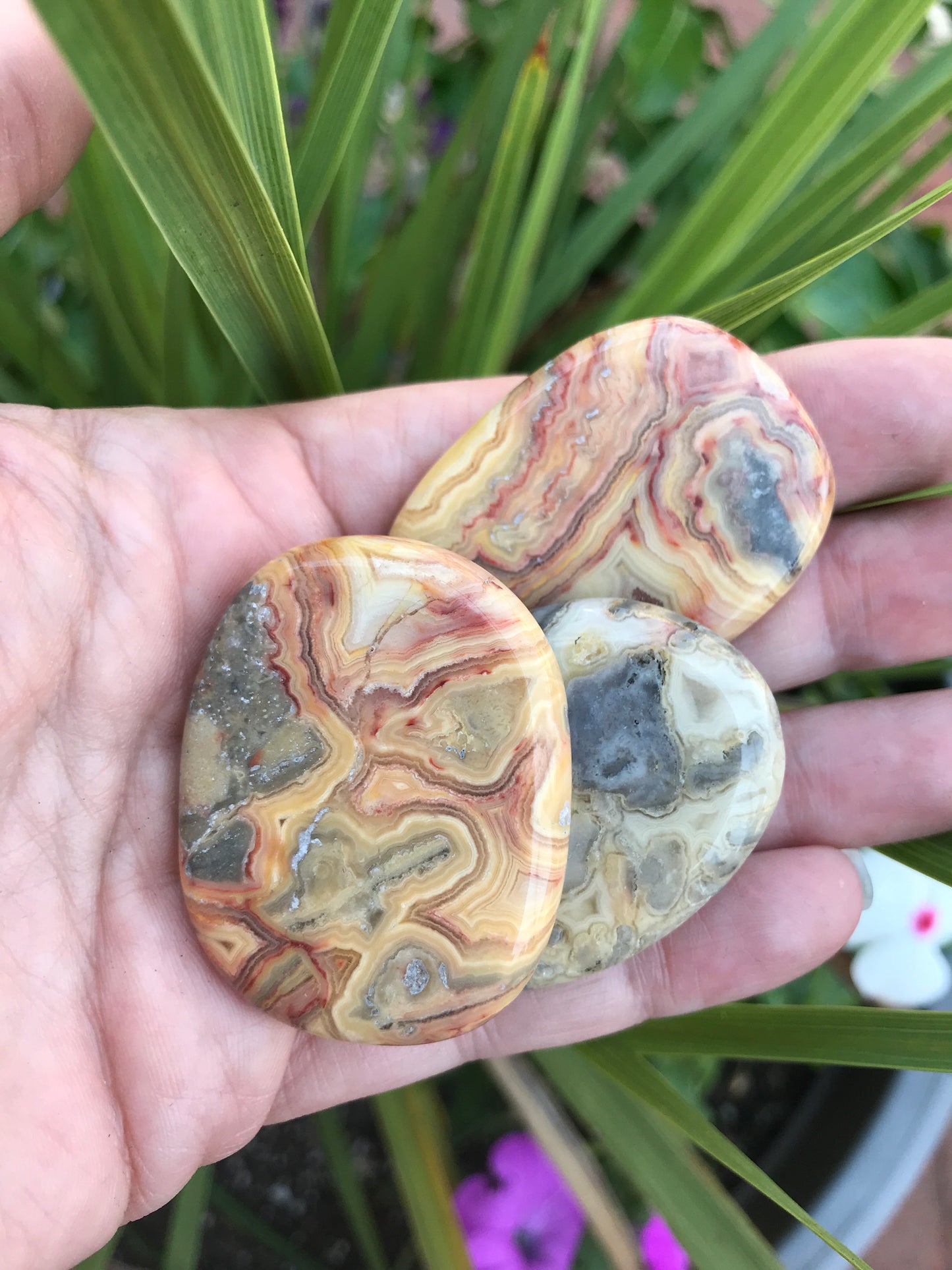Crazy lace agate disk