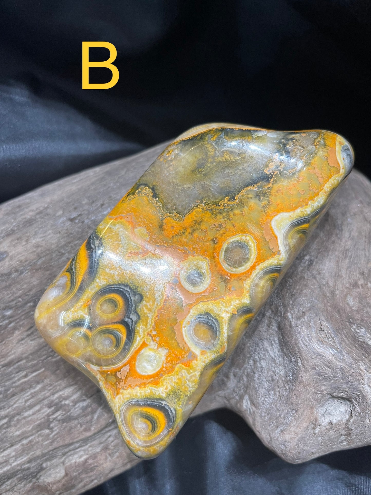 Bumblebee Jasper polished shapes