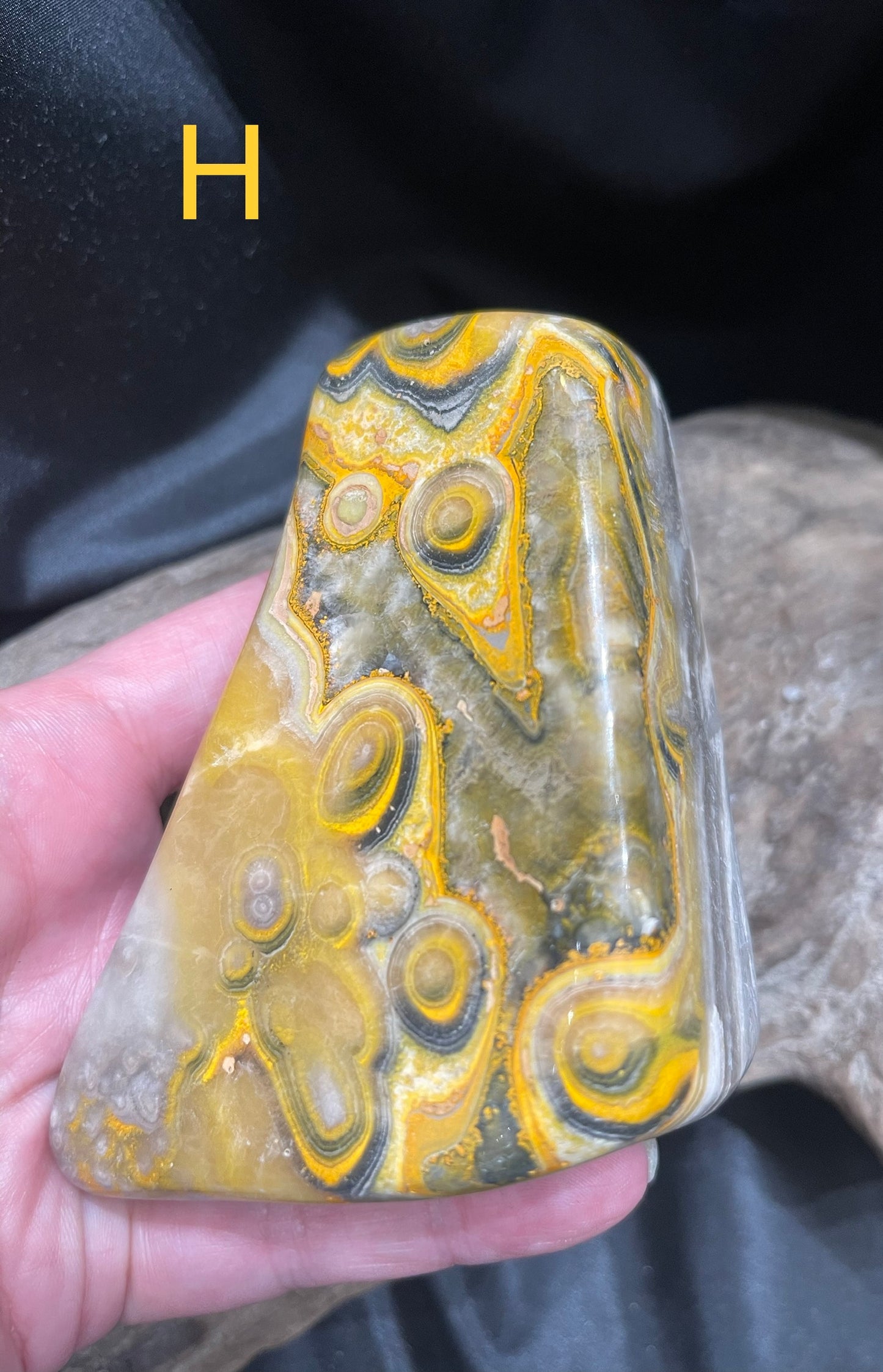 Bumblebee Jasper polished shapes