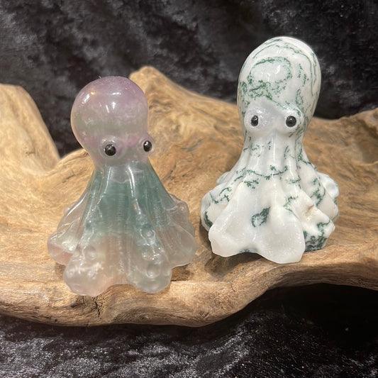 Octopus